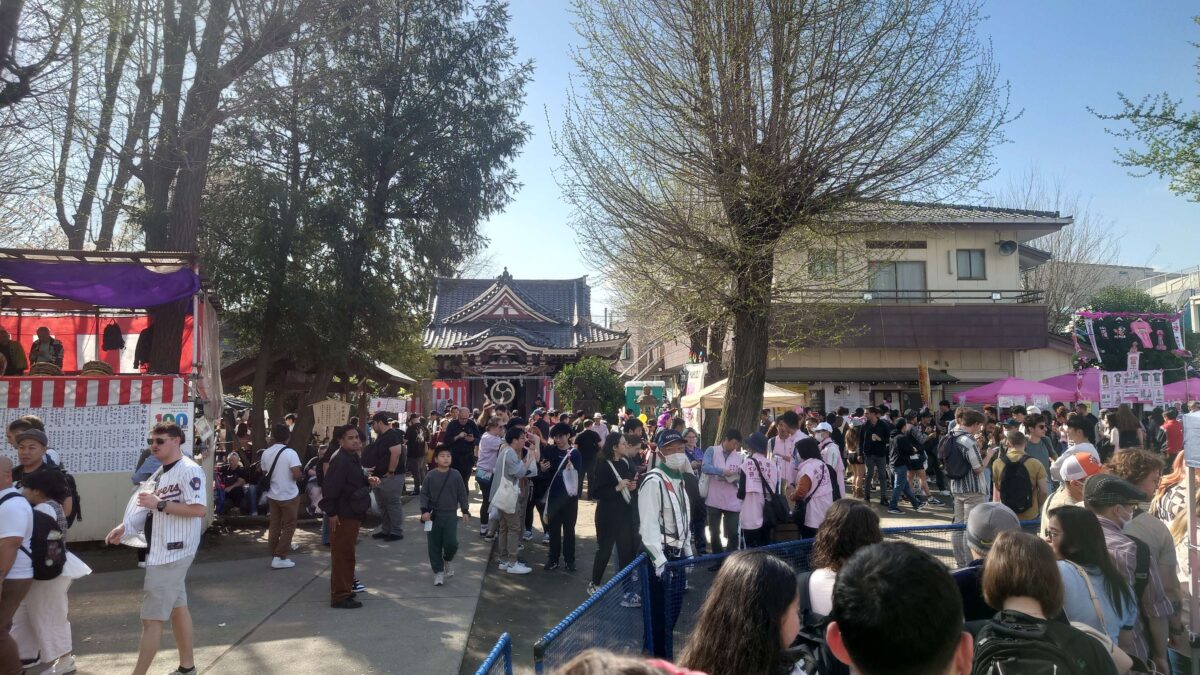 Penis Festival Grounds