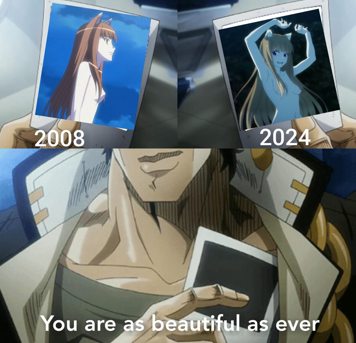 Spice And Wolf Meme 1