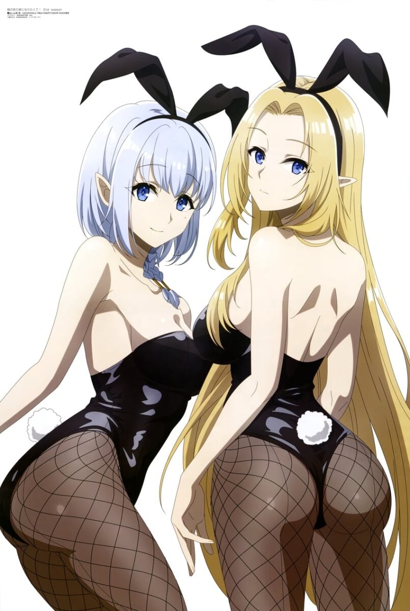 Kage No Jitsuryokusha Bunny Girls