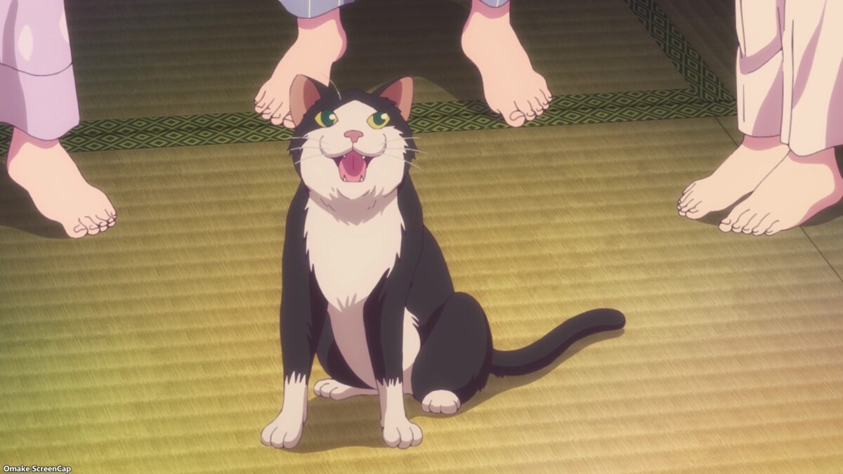 Goddess Cafe Terrace Episode 13 Sachiko The Cat