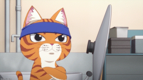 Ramen Akaneko Episode 1 Bunzou Cat Interviews Tamako