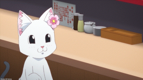 Ramen Akaneko Episode 1 Hana Cat Apologizes