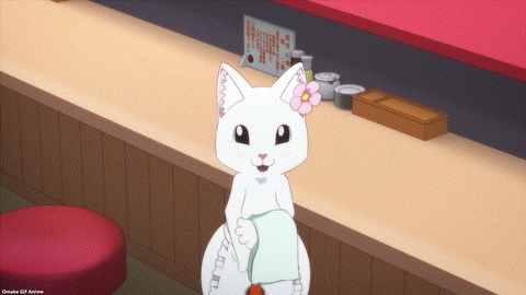 Ramen Akaneko Episode 1 Hana Cat Winks