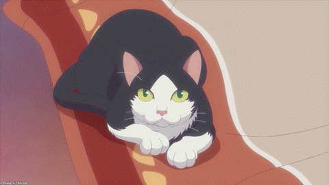 Goddess Cafe Terrace Episode 17 Sachiko Kitty Yawns