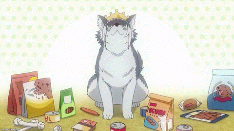 Plus Sized Elf Episode 4 Raika Doggy Wags Tail