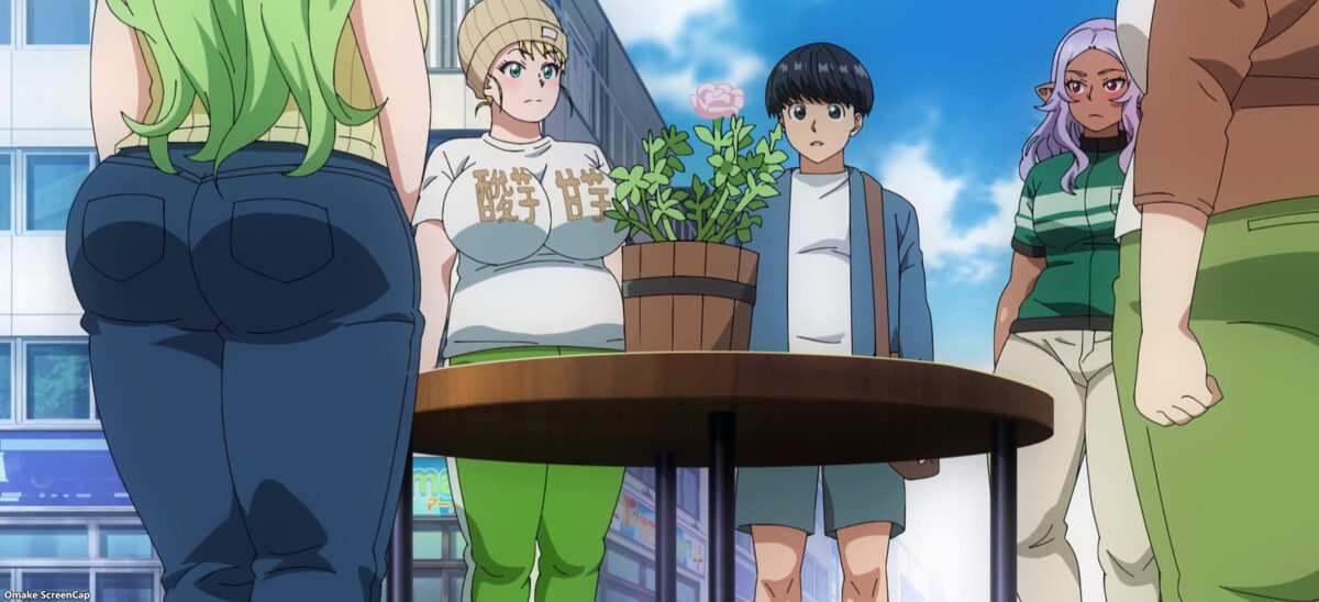 Plus Sized Elf Episode 10 Healthy Rose Bush