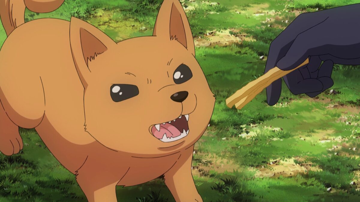 Plus Sized Elf Episode 10 Puppy Refuses FrencchFries