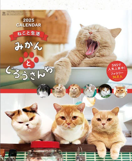CatCalendar