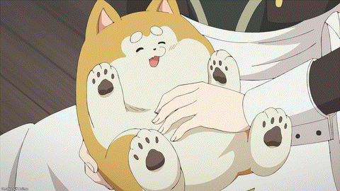 Kimi Wa Meido Sama Episode 2 Happy Puppy Belly Rub