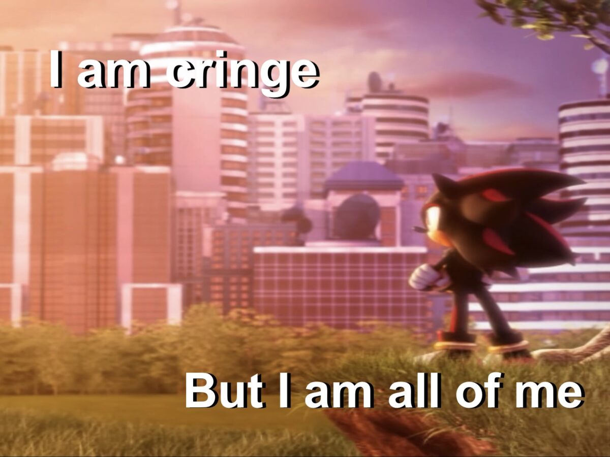 Shadow The Hedgehog Cringe