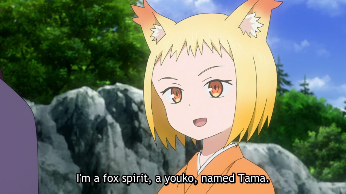 Fox Spirit Tama