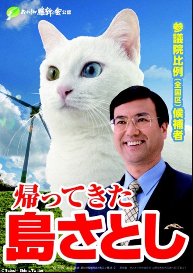 Japanese Election Poster With A Cat