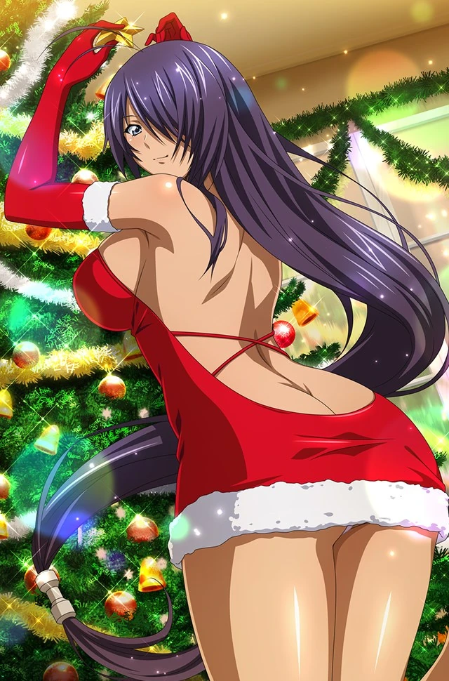 12 Waifu Days Santa Girls List3 4