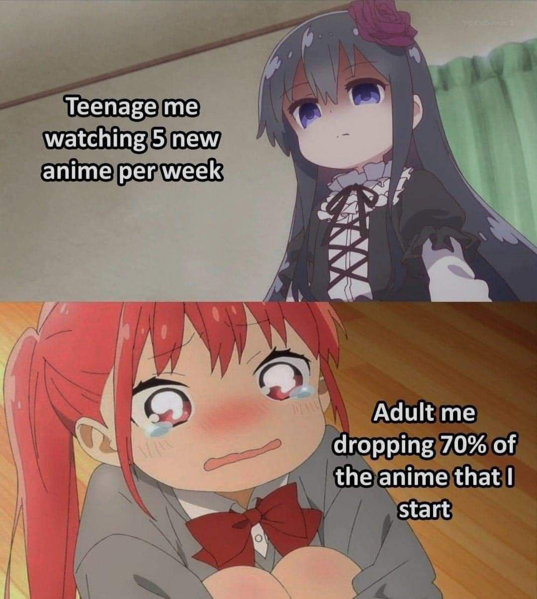 How Many Episodes Of Anime Do You Watch? Meme