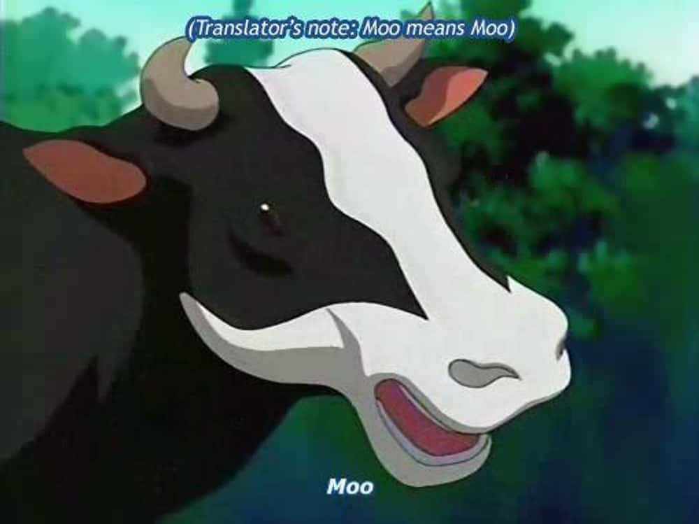 Clever Subtitles Teach Us Animal Speech