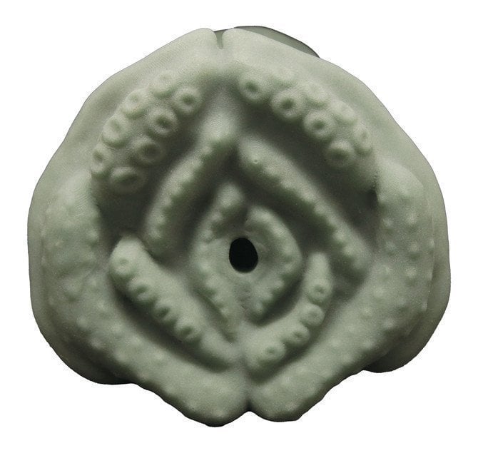 Front View Of Onahole