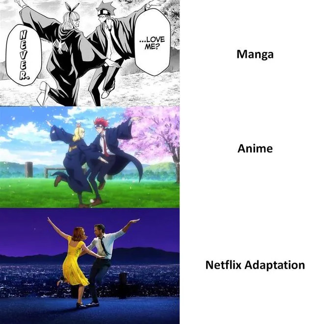 Netflix Adaption Western Memes