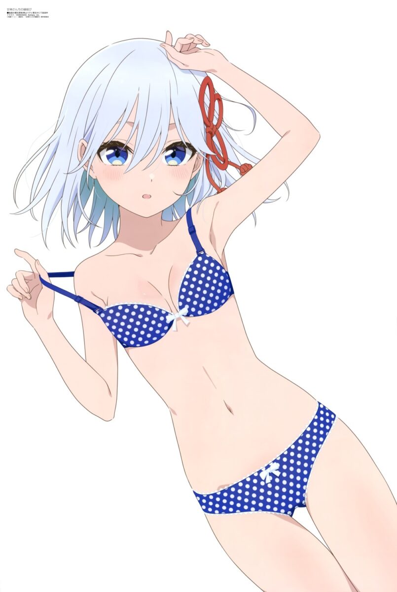 Amagami San Chi No Enmusubi Anime Poster