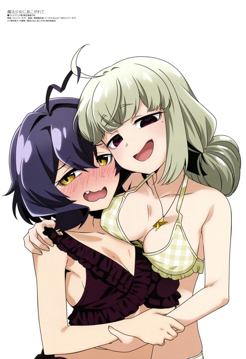 Mahou Shoujo Ni Akogarete from Megami Magazine March 2025