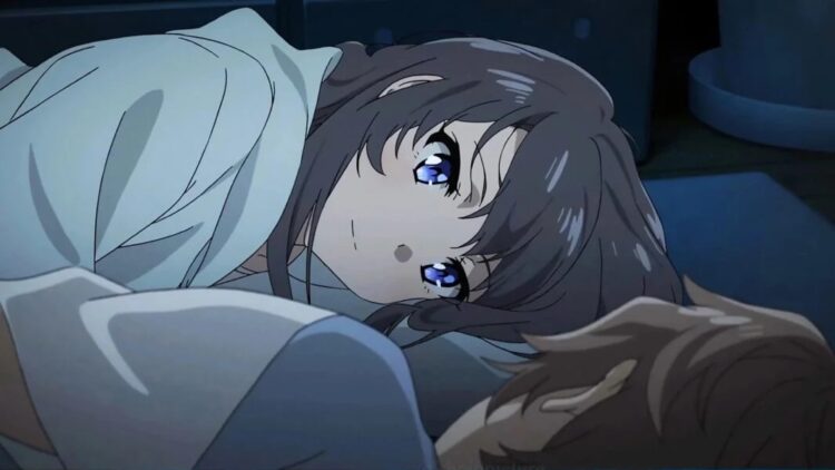 The 12 Best Lovey Dovey Romance Anime Ranking