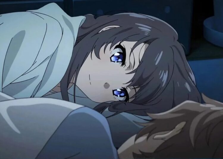 The 12 Best Lovey Dovey Romance Anime Ranking