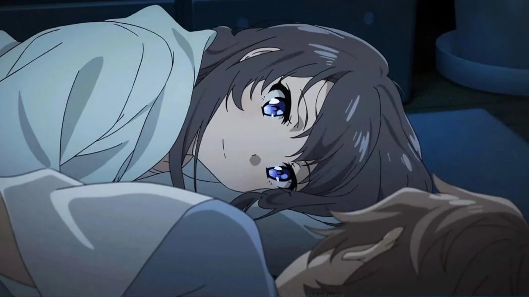 The 12 Best Lovey Dovey Romance Anime Ranking