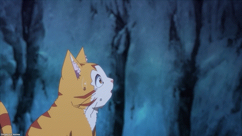 Beheneko Episode 5 Stella Breast In Tama's Face