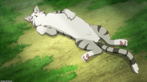 Beheneko Episode 11 Tama Presents Belly To Leo In Friendship