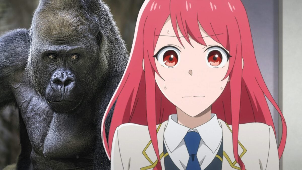 Gorilla God Featured Image 2
