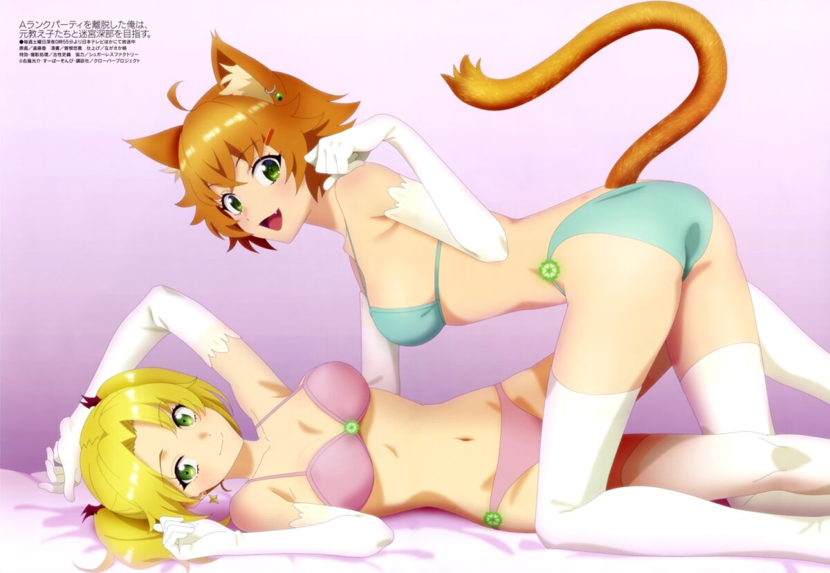 A Rank Party Wo Ridatsu Shita Ore Wa Moto Oshiego Tachi To Meikyuu