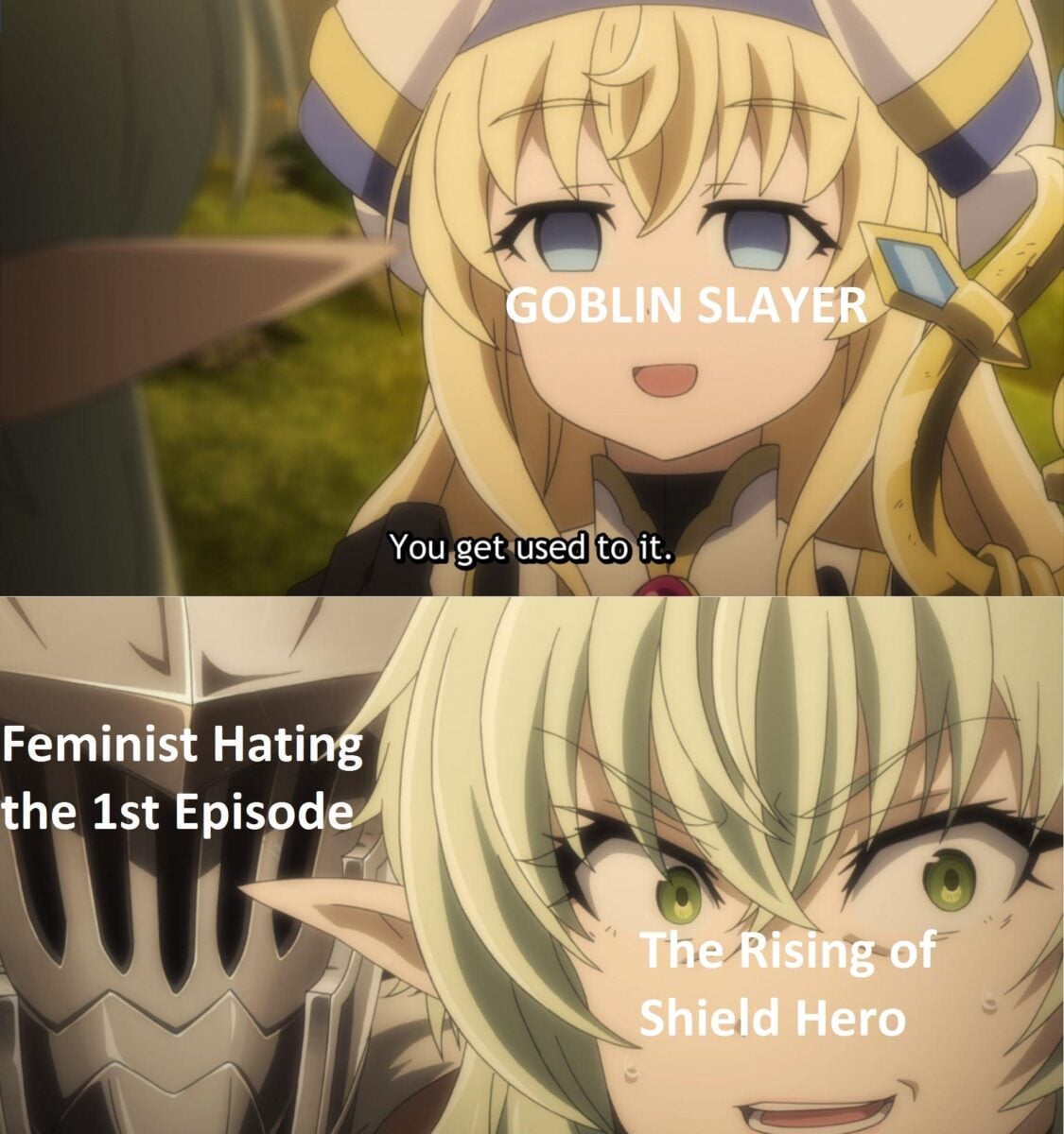 Goblin Slayer Feminist Anime Ban