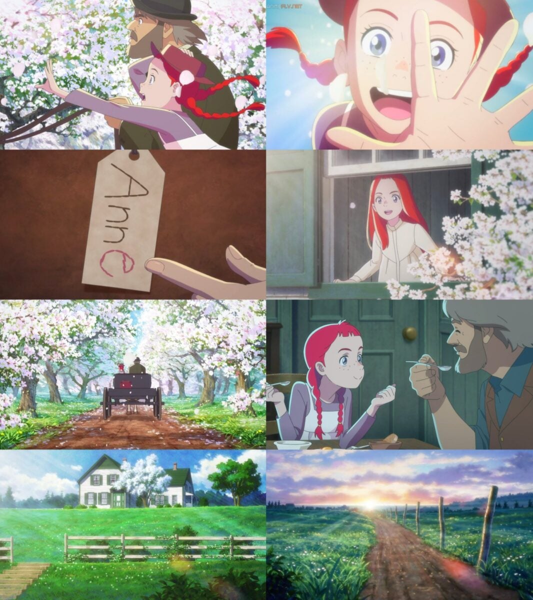 Watch The Anne Shirley Anime