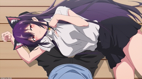 Haite Kudasai, Takamine San Episode 5 Takane Cat Play Snuggling