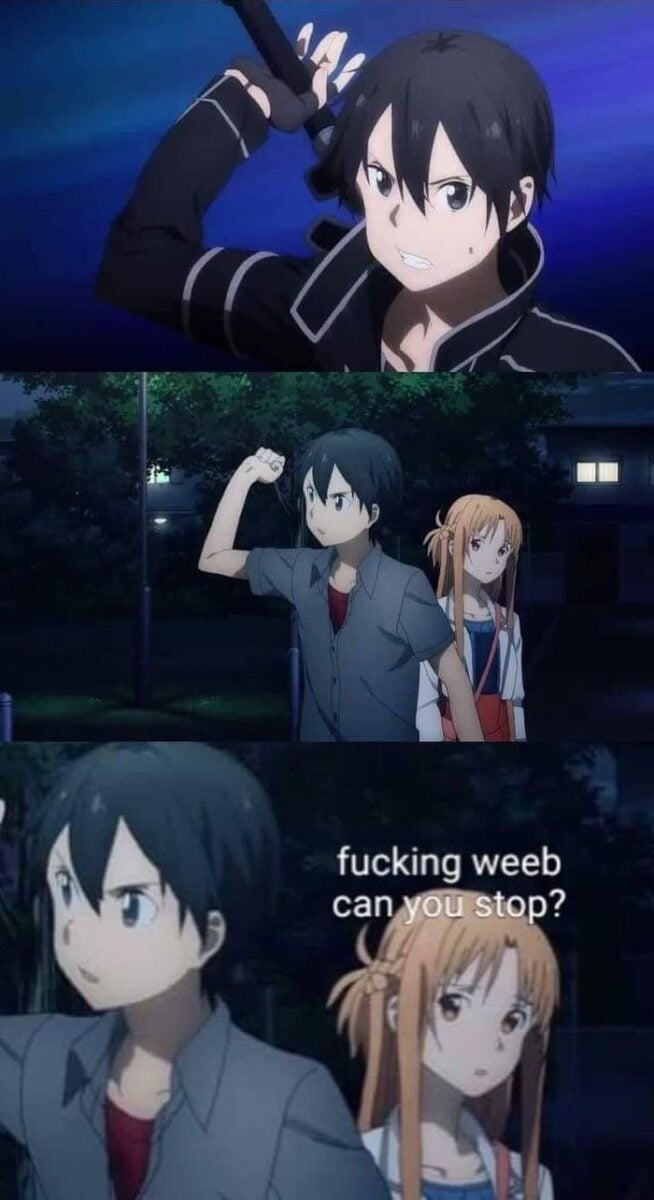 Is Sword Art Online A Garbage Anime