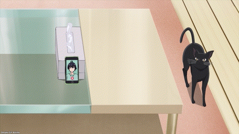 Haite Kudasai, Takamine San Episode 7 Kuro Cat Knocks Over Phone