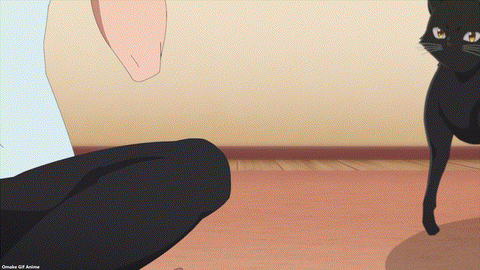 Haite Kudasai, Takamine San Episode 8 Kuro Cat Bothers Koushi