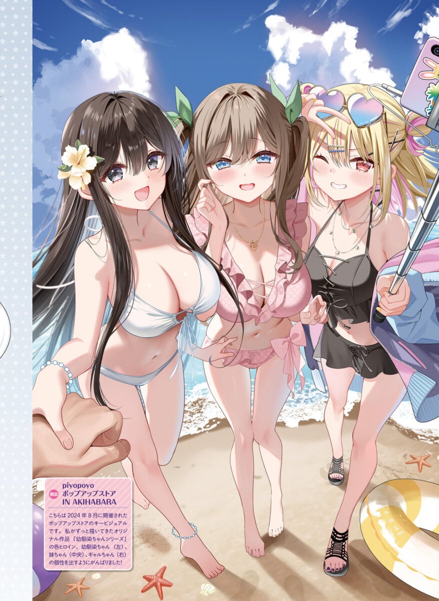 The Art Of Piyopiyo 2  Dengeki Moeoh