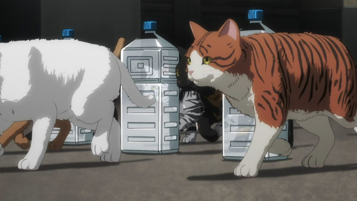 Nyaight Of The Living Cat Episode 2 3