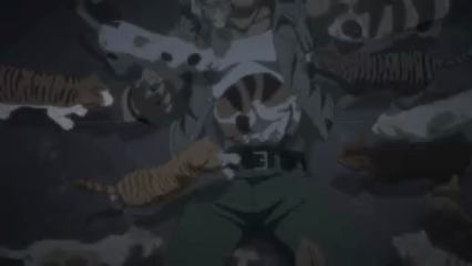 Nyaight Of The Living Cat Transformation