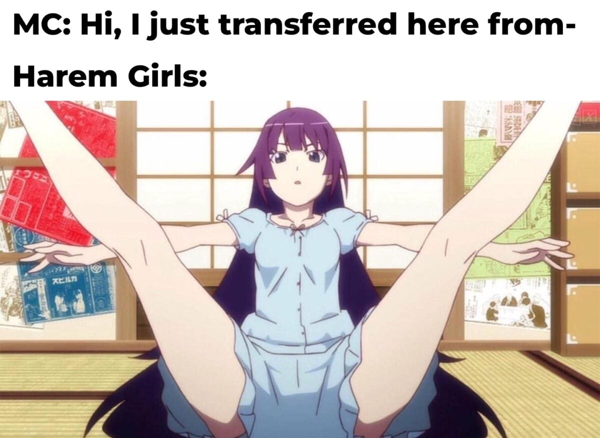 Transfer Student Meme