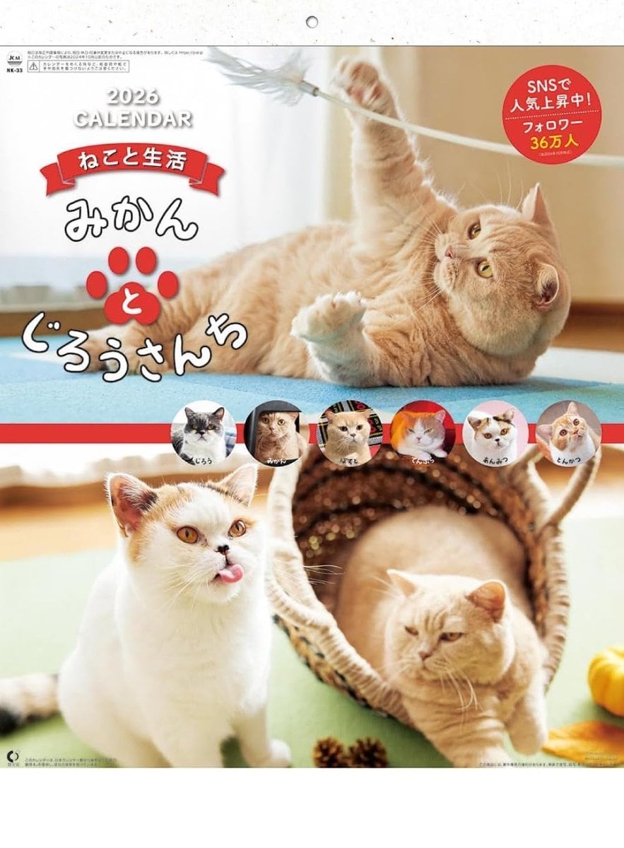 Life With Cats (2026 Calendar) 1