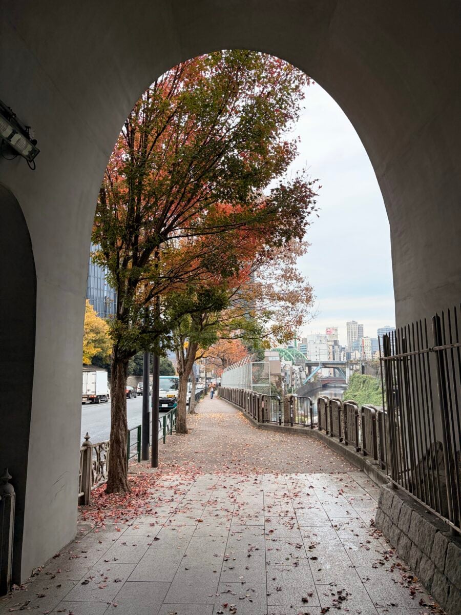 I Love To Walk From Ochanomizu To Akihabara