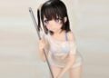WINGS INC Kantoku Shizuku 17 Figure Web Cover