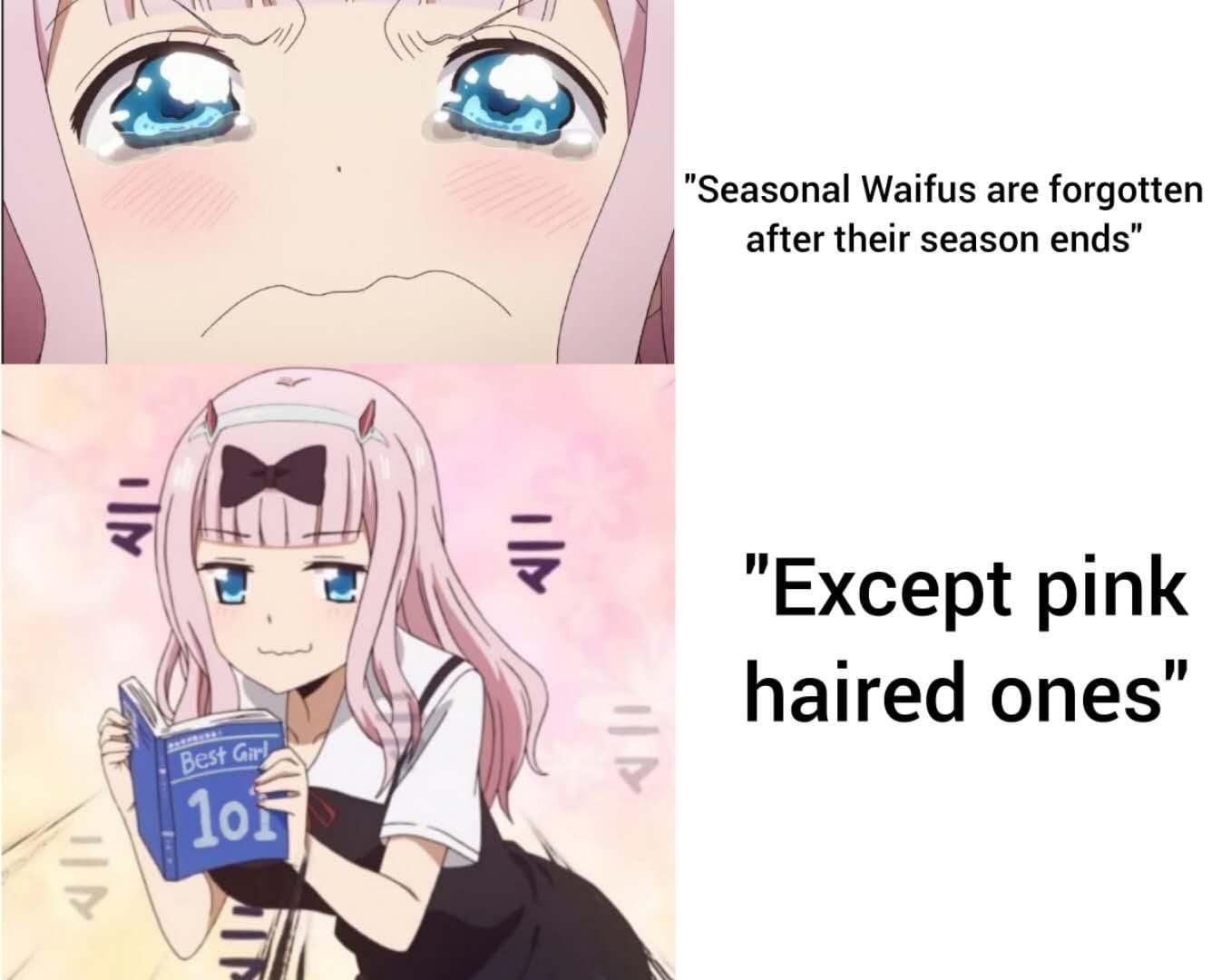Pink Haired Anime Waifu Meme