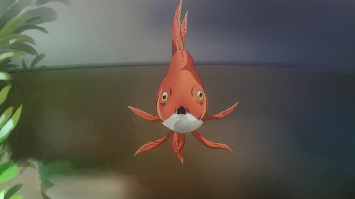 Kirei Ni Shite Moraemasu Ka Episode 1 Poly Chan Goldfish