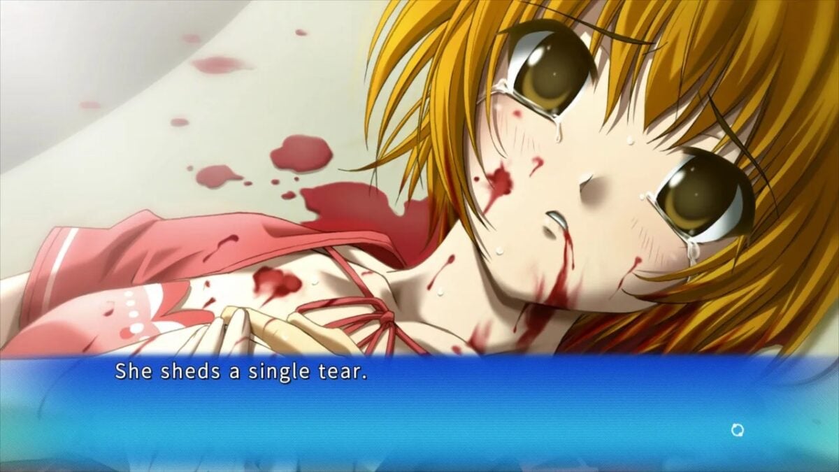 A Screencap From Ever 17, The Visual Novel That Inspired Yorhel to make VNDB