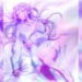 Kanteishi (Kari) Featured Image