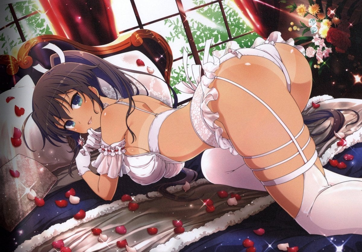 Shinobi Master Senran Kagura NEW LINK ILLUSTRATIONS BOOK [TOP] 4 