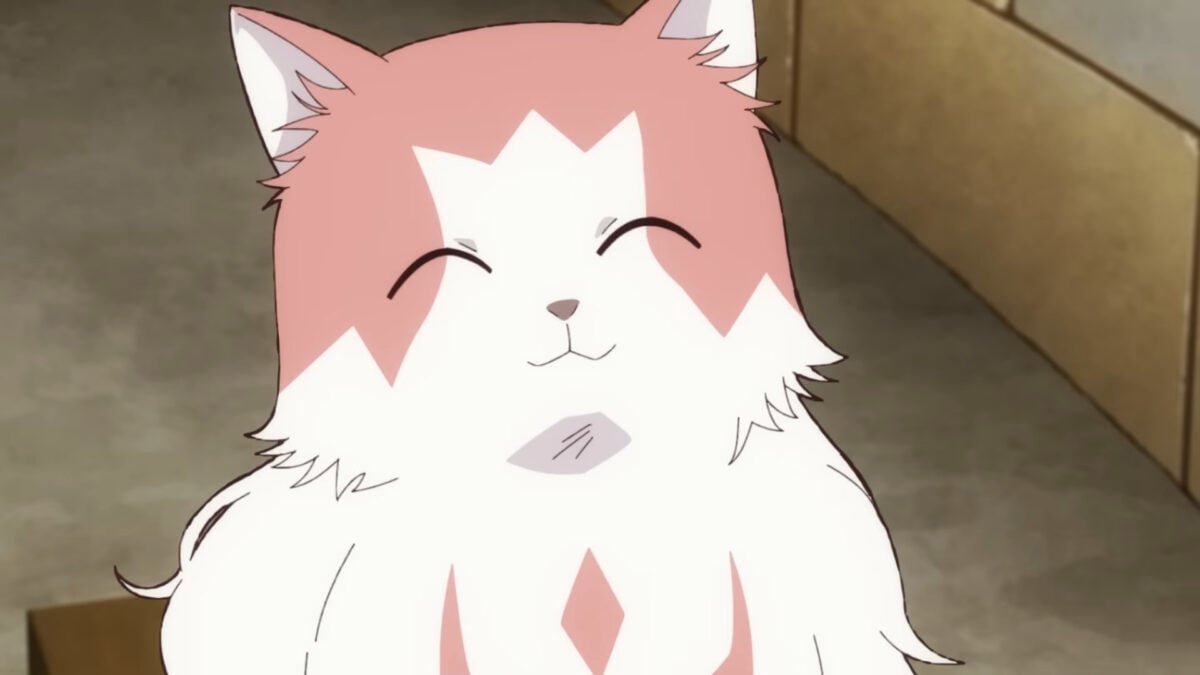 The Cat And The Dragon PV2 2