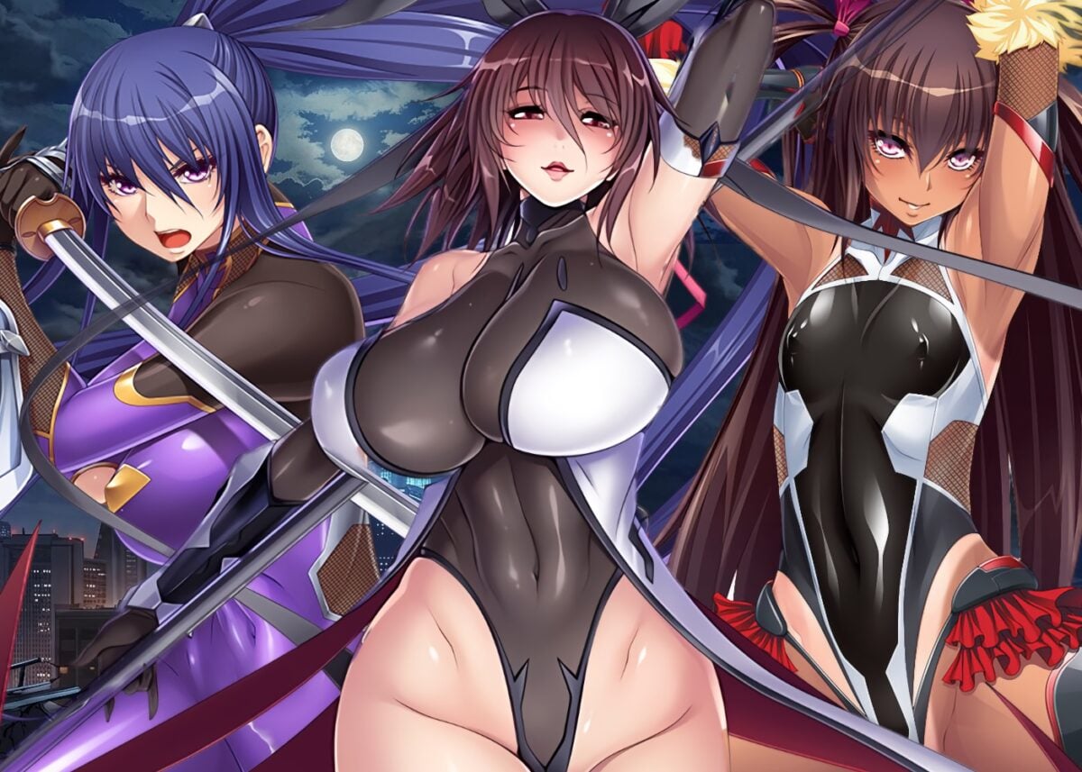 Taimanin Hip Official Taimanin Asagi Ero Toys